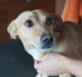 Kami